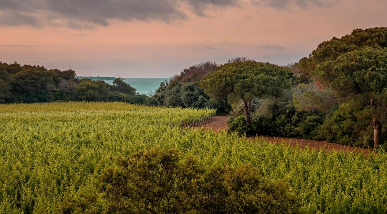 Masseria Mongio Dell'Elefante Отранто Екстер'єр фото
